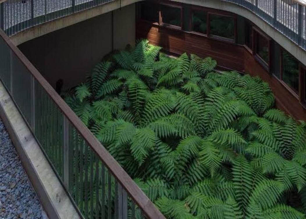 Nishi Holiday Apartments Camberra Exterior foto